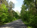 DSC00928
