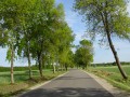 DSC00929