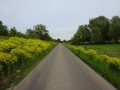DSC00930