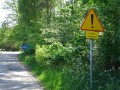 DSC02681