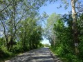 DSC02684