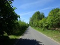 DSC02686