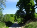 DSC02697