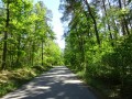 DSC02708