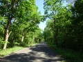 DSC02713