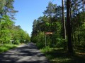 DSC02717