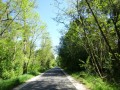 DSC02720