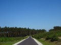 DSC02723