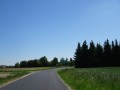 DSC02725