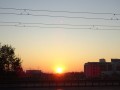 DSC03956