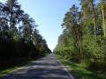 DSC03959