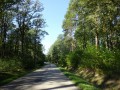 DSC03961