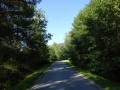 DSC03963