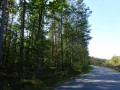 DSC03964