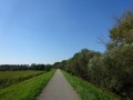 DSC03967
