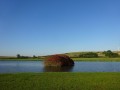 DSC03973
