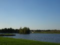 DSC03974