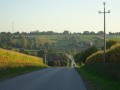 DSC03976