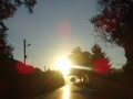 DSC03977