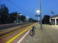 DSC03979