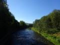DSC03982