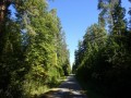 DSC03985