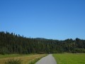 DSC03988