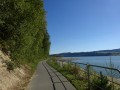 DSC03996