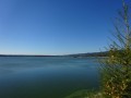 DSC03998