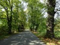 DSC04056