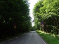 DSC03845