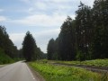 DSC03847