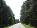 DSC03848