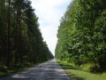 DSC03850