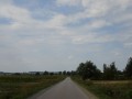 DSC03852