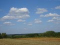 DSC03853