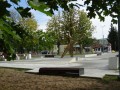 DSC03855