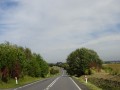 DSC03904