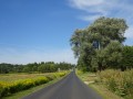 DSC03906