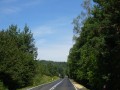 DSC03913