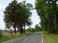 DSC03916