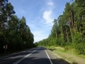 DSC03917