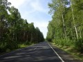 DSC03919
