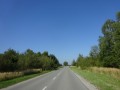 DSC03876