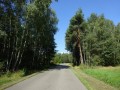 DSC03877