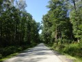 DSC03878