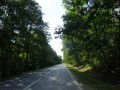 DSC03884