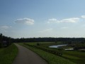 DSC03888