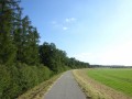DSC03891