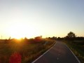 DSC03896
